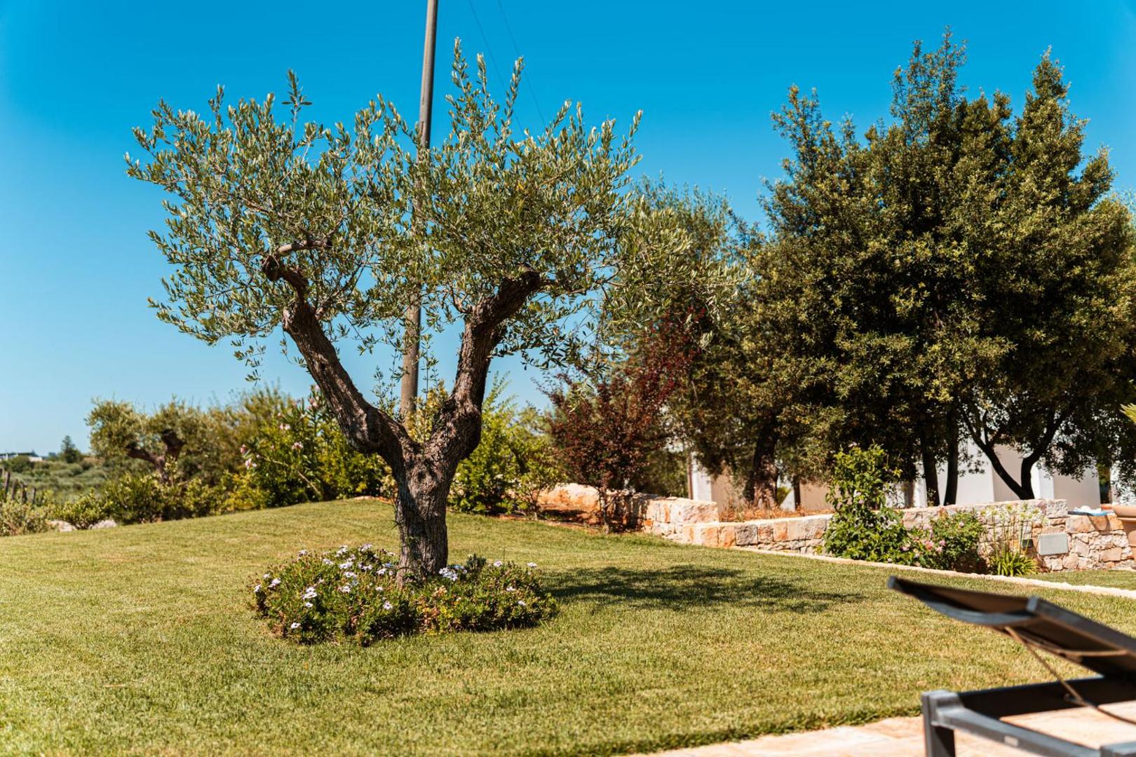 Fotografia 10: HelloAPULIA - Villa Milivita - Countryside Escape with Private Pool, Monopoli