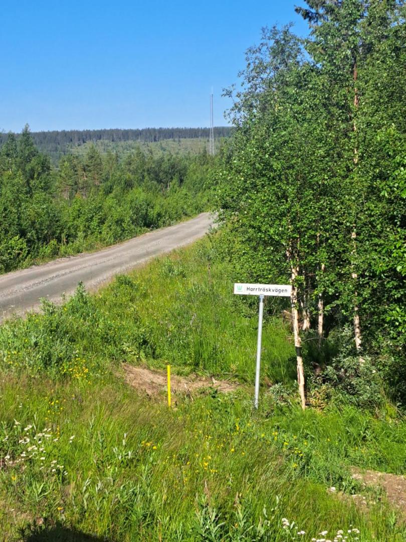 Foto 10: Stuga, lantligt lugnt läge med gott om parkering
