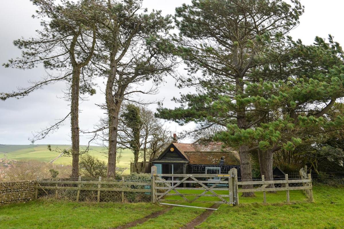 Fotografie 6: Crowlink Corner, South Downs National Park