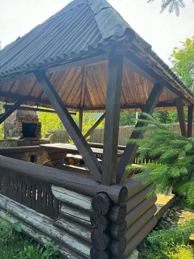 Fotografia 7: Медвежий