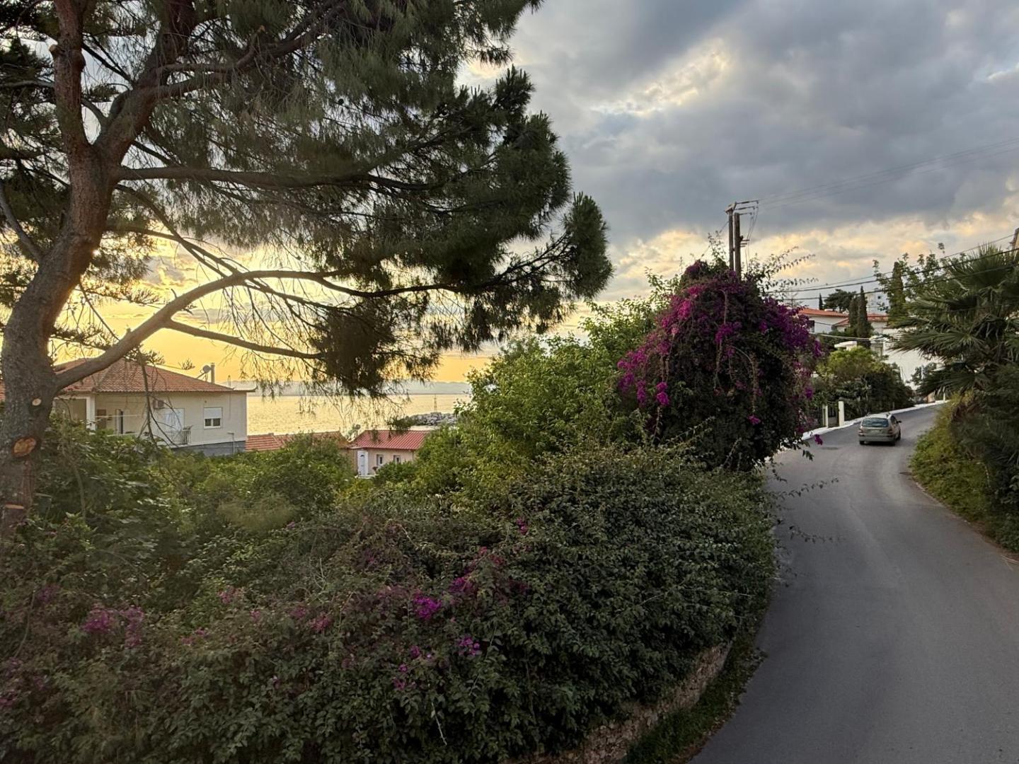 Billede 2: Panos & Antzy Apartment