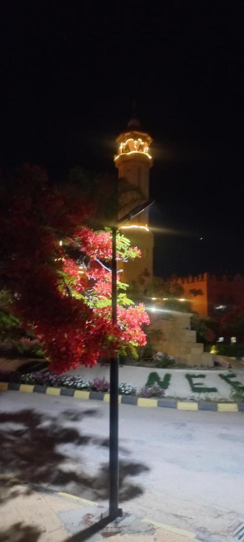 Foto 7: قرية نيس1 شاليه أرضي على حمام السباحة