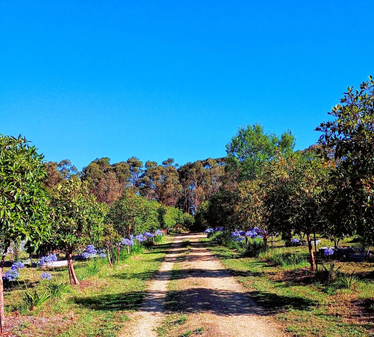 Fotografie 4: Accessible, Inclusive studio, Barossa Valley SA - It's Bonza at Mill About Vineyard