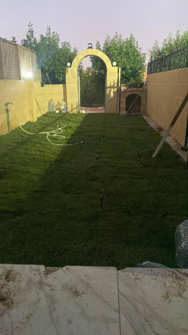 Bilde 8: الإسكندرية
