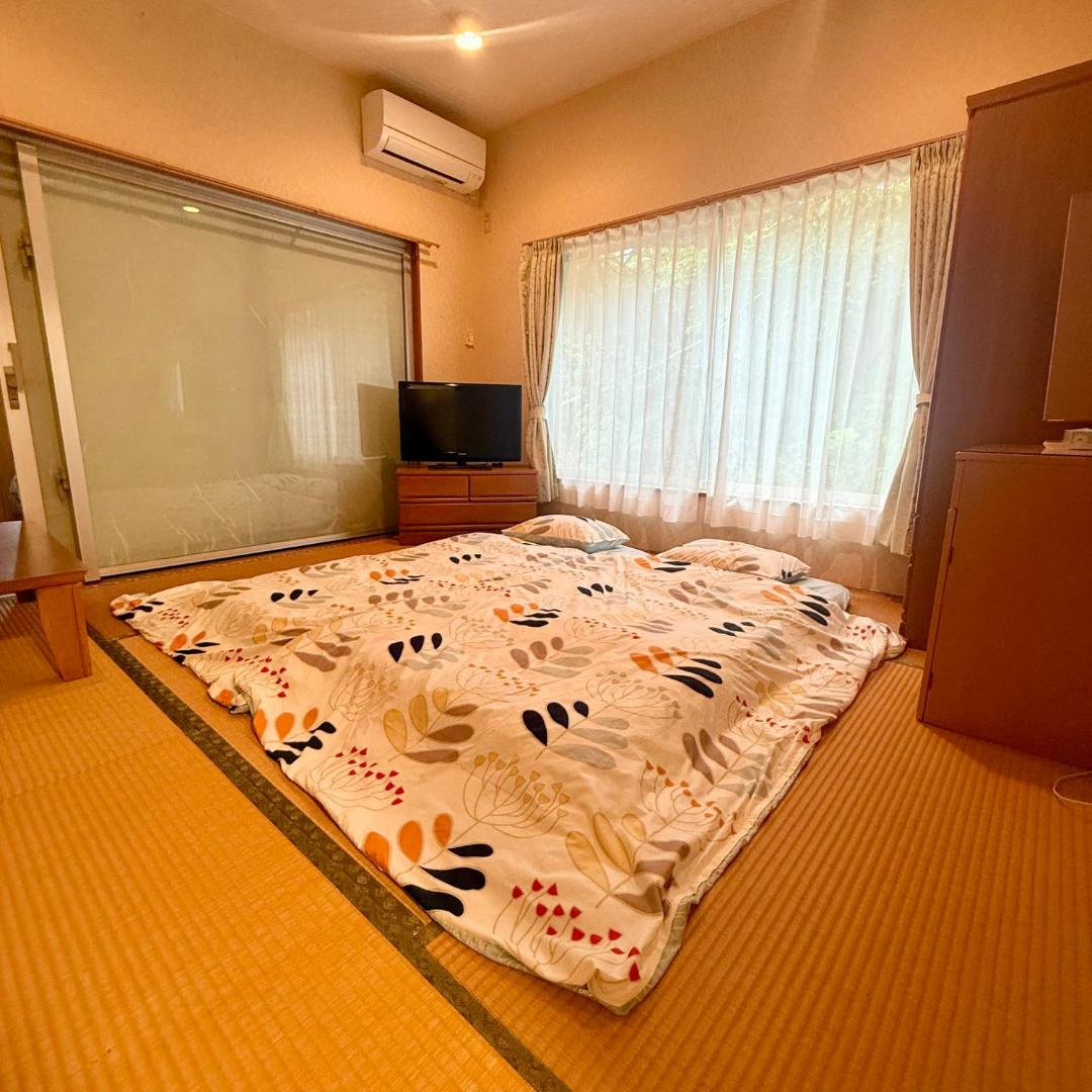 Bild 5: ペンション波