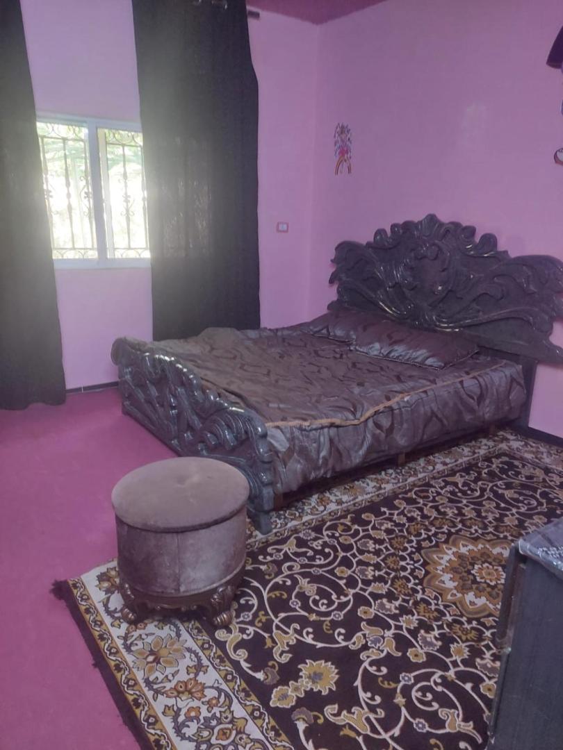 Photo 10 : عجلون