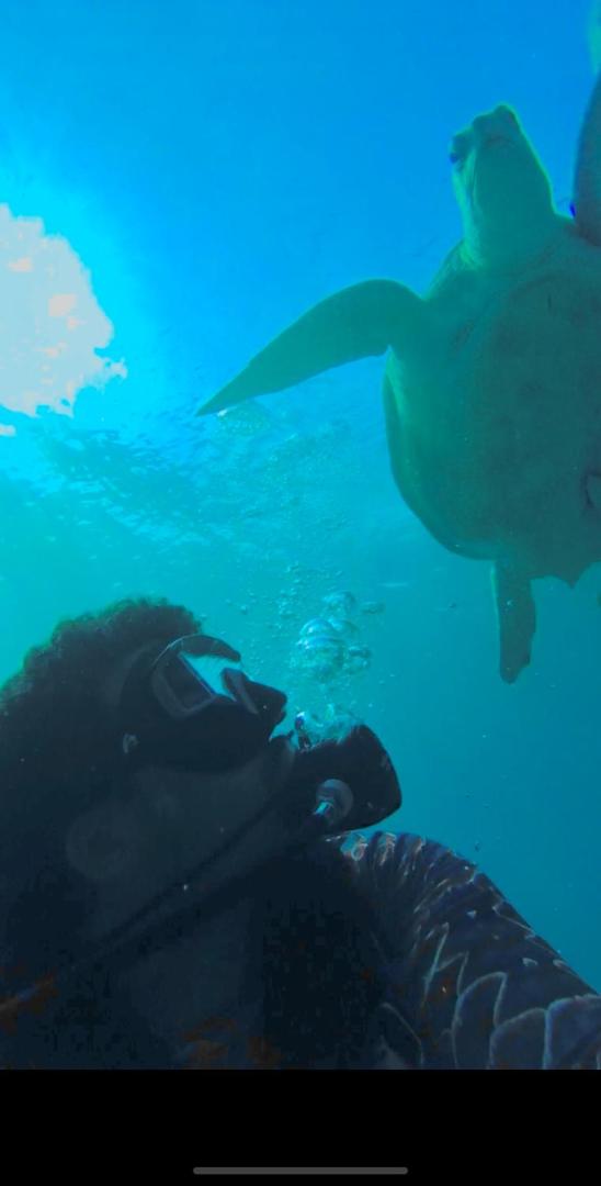Fotografie 3: Private Diving in Hurghada