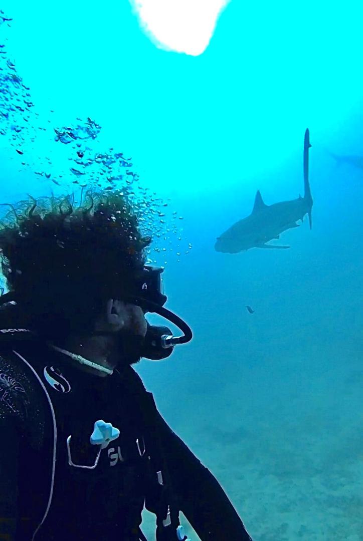 Fotografie 5: Private Diving in Hurghada