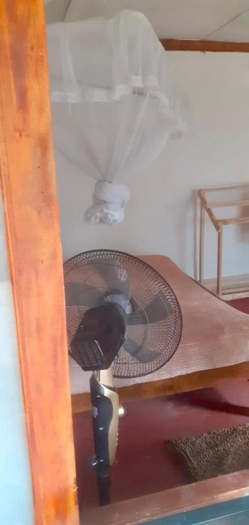 Billede 5: Ella Tiny house