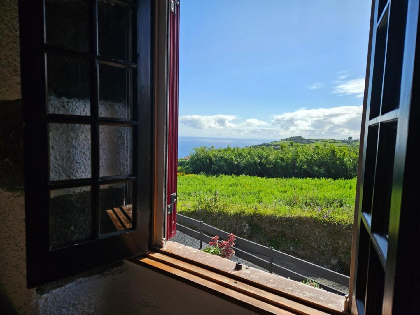 Ocean View - Nordesteの写真7