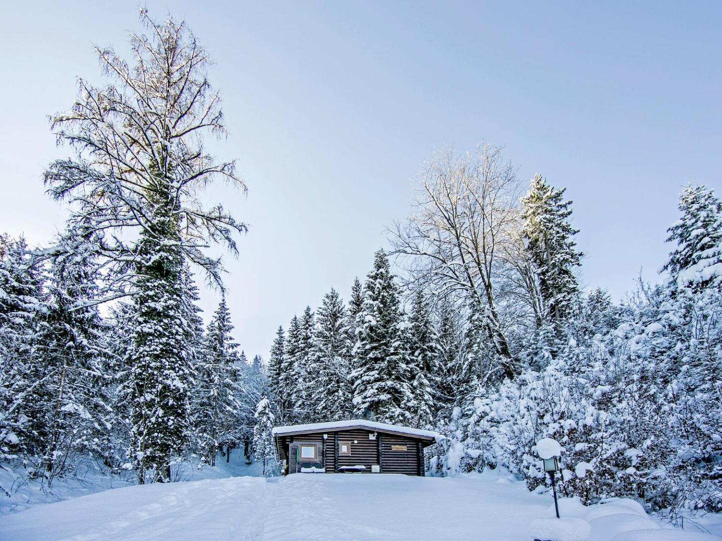 Zdjęcie 3: Chalet in Wörgl near SkiWelt Wilder Kaiser