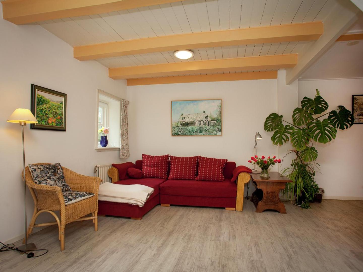 Billede 3: Cottage in Nes-Ameland near Coastline