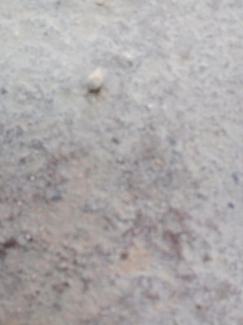 Foto 2: الرفق