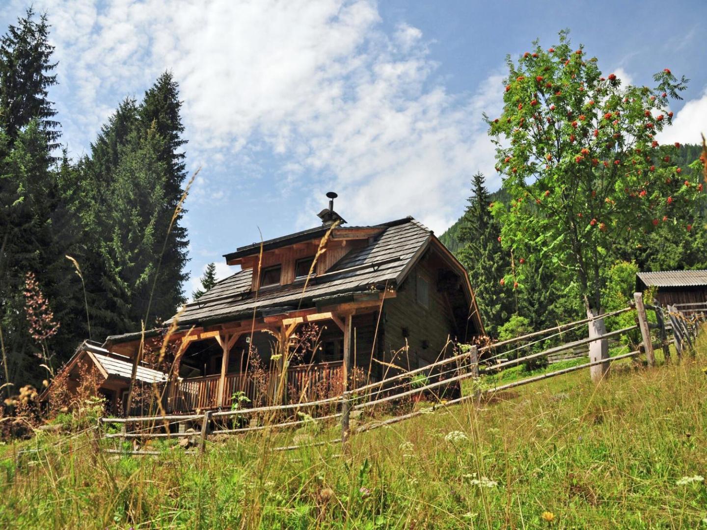 Foto 6: Chalet in Kolbnitz near Ski Slopes