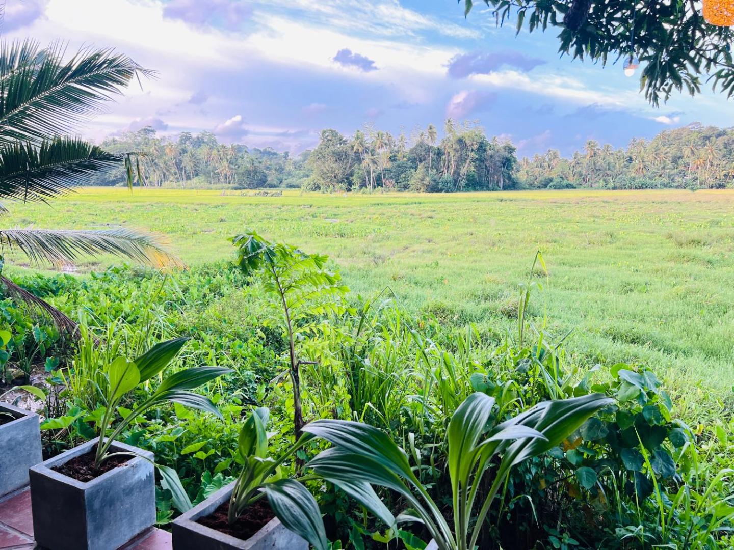Dancing Faces - 2BR Private villa near Unawatunaの写真9