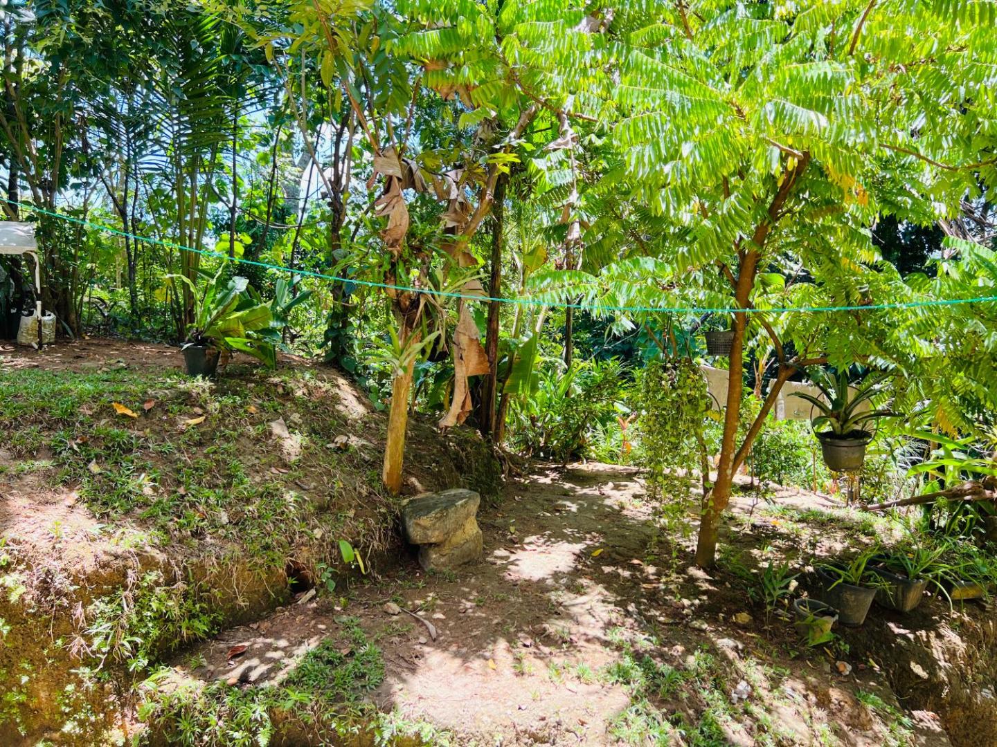 Dancing Faces - 2BR Private villa near Unawatunaの写真8