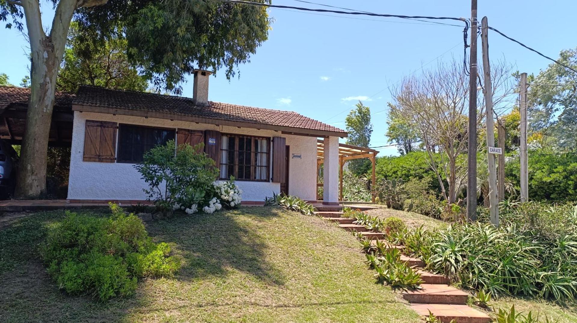 Foto 2: Jacarandá