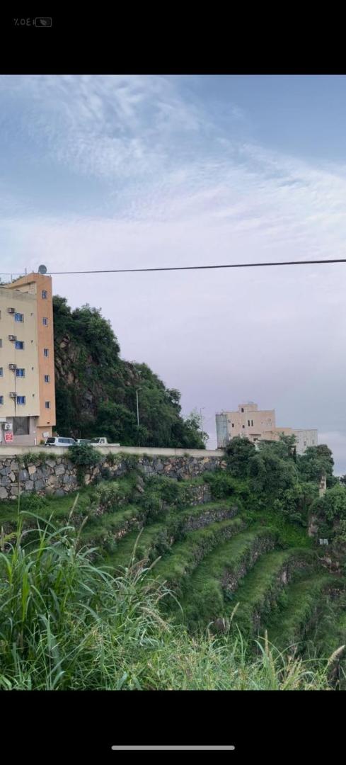 Bilde 8: السفير
