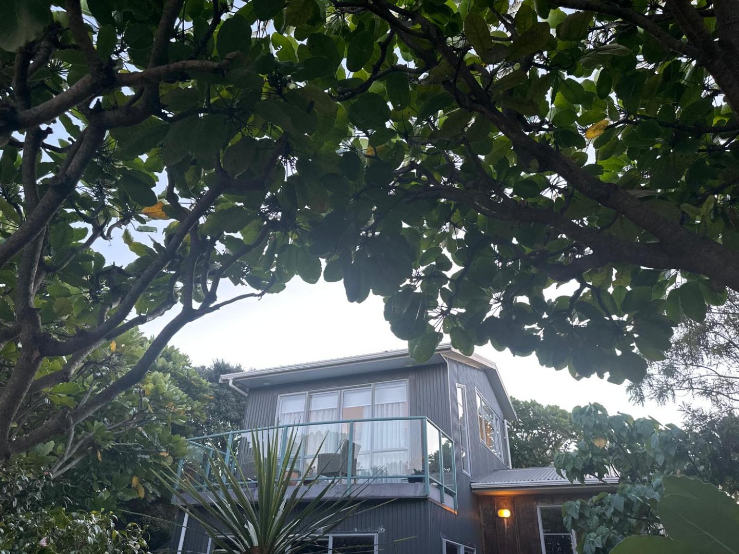 Bilde 3: Studio 51 - at gorgeous Waikanae Beach