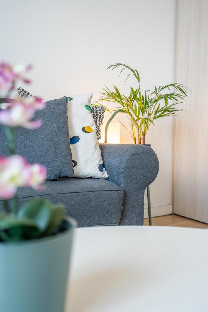 Bilde 6: SOFIA41 - Prime Location