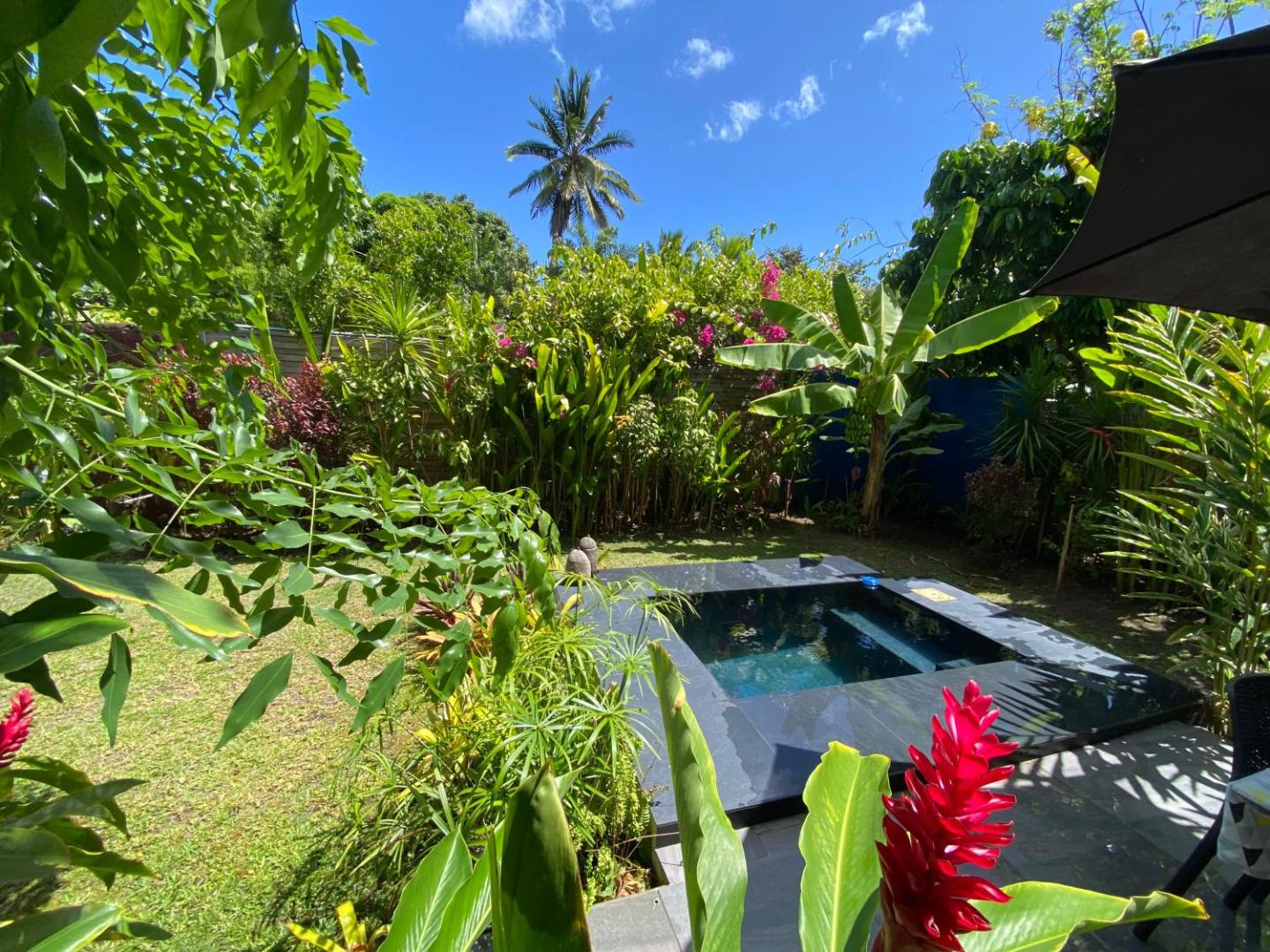 Billede 2: Tiny house with pool near Vaiava beach