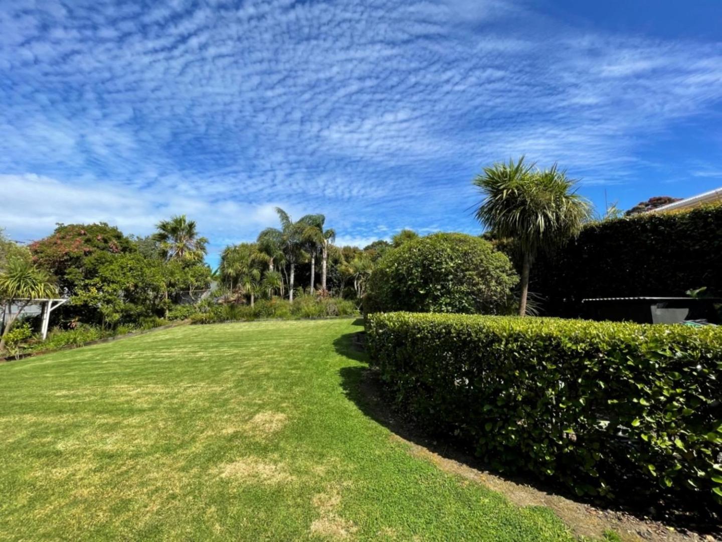 Moa Studios - Stay Waihekeの写真6