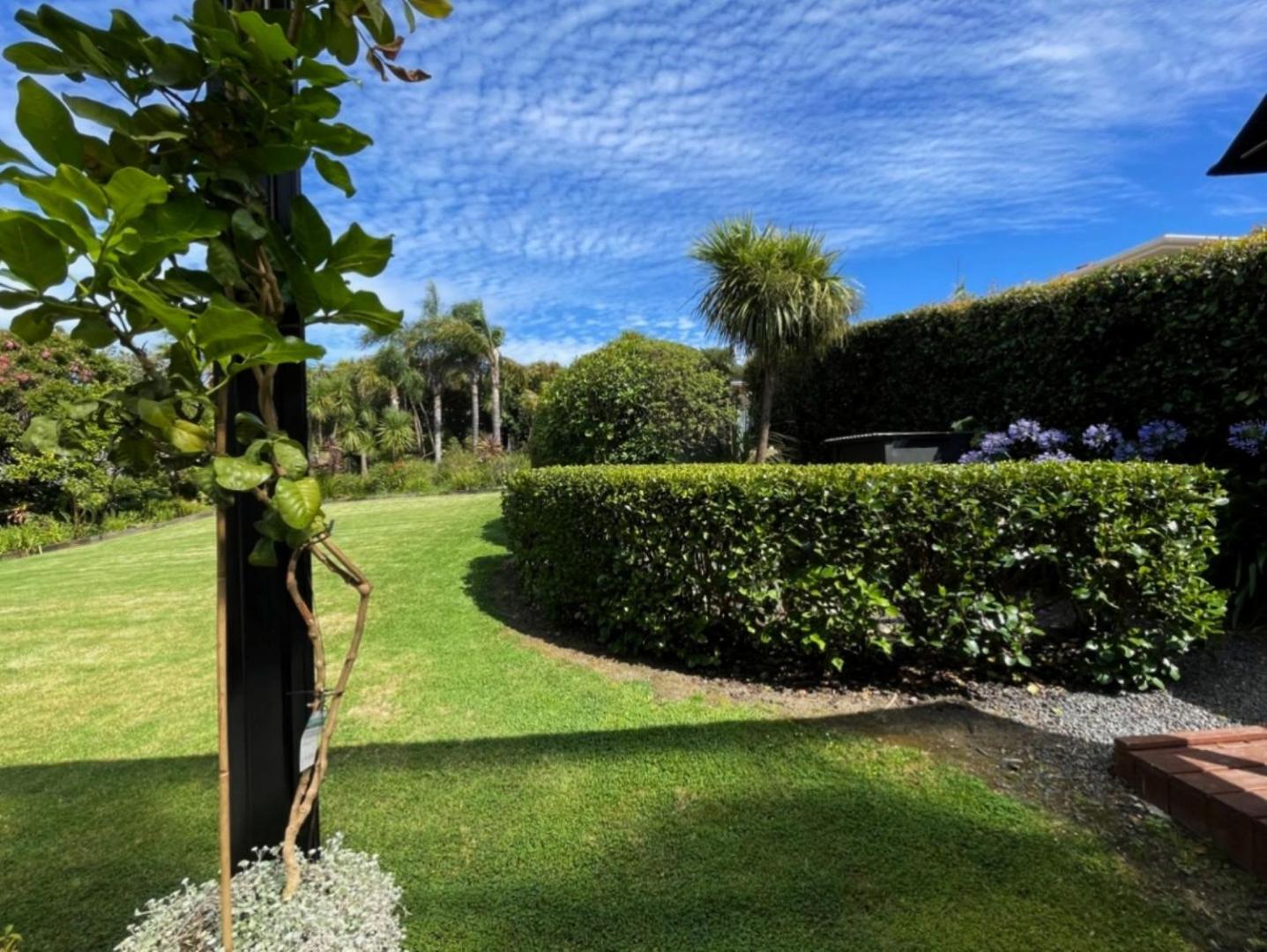 Moa Studios - Stay Waihekeの写真11