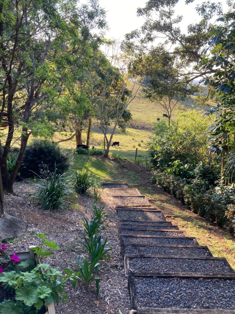 Foto 10: Mandys at Maleny