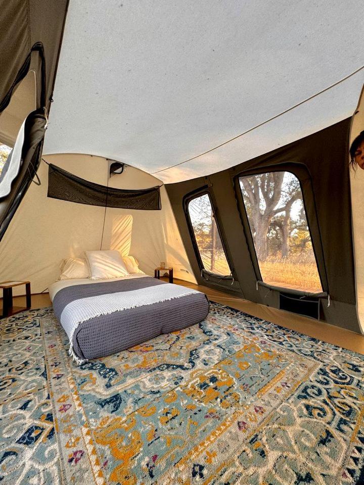 Billede 2: Cute, Lakeside Glamping Bell Tent #2, Wheatland, California