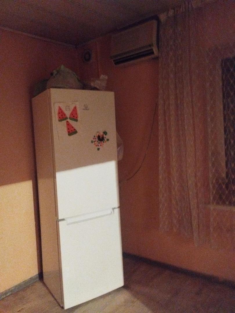 Барсの写真3