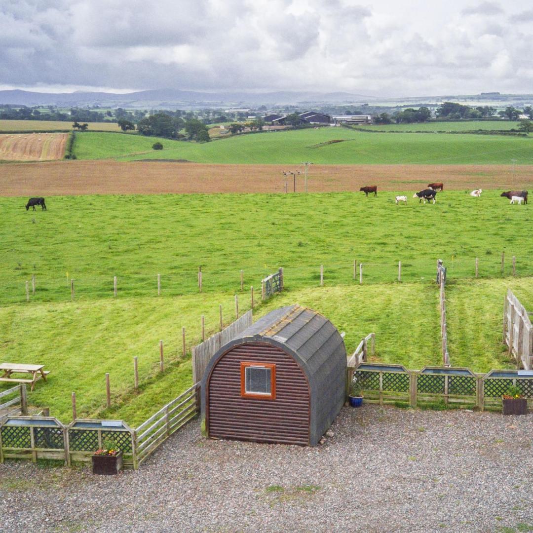 Fotografia 2: Glamping on a working farm five miles west of Carlisle