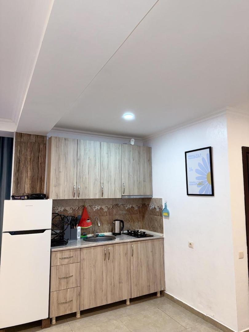 Flat in Bak'uriani的照片2