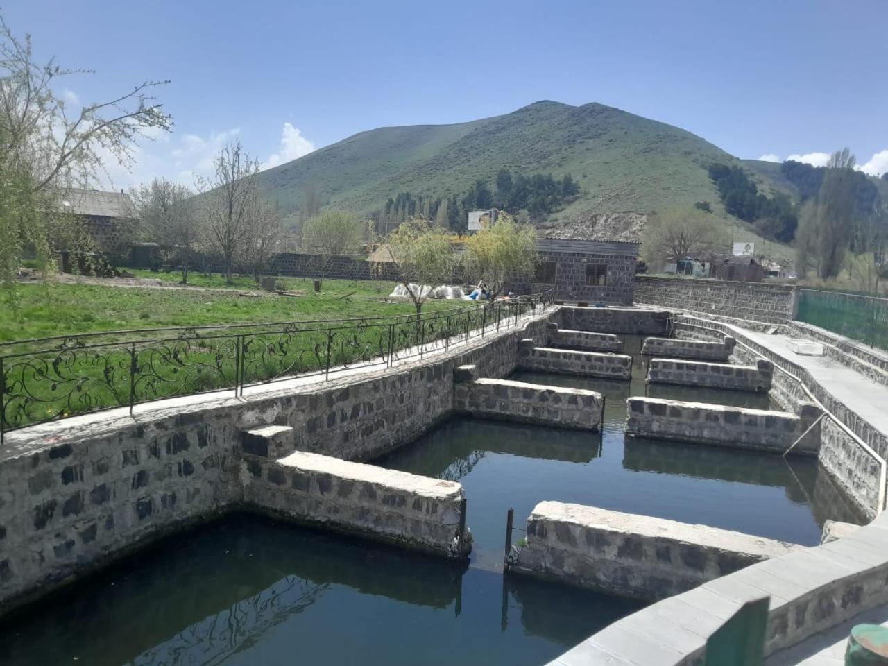 Агарод的照片7