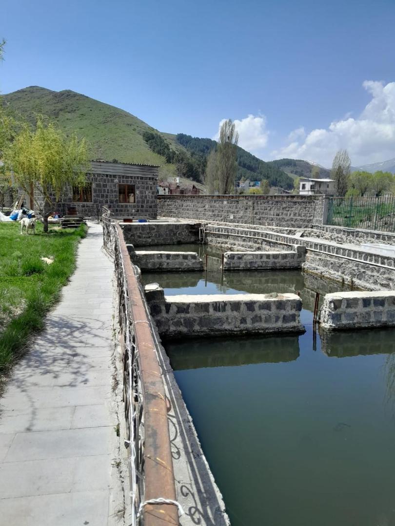 Агарод的照片10