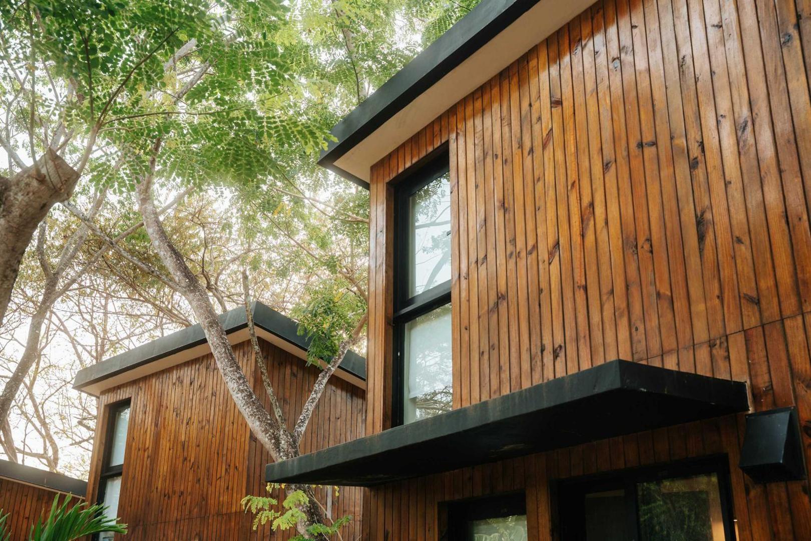 Foto 2: Mind - Oceanfront Jungle Loft