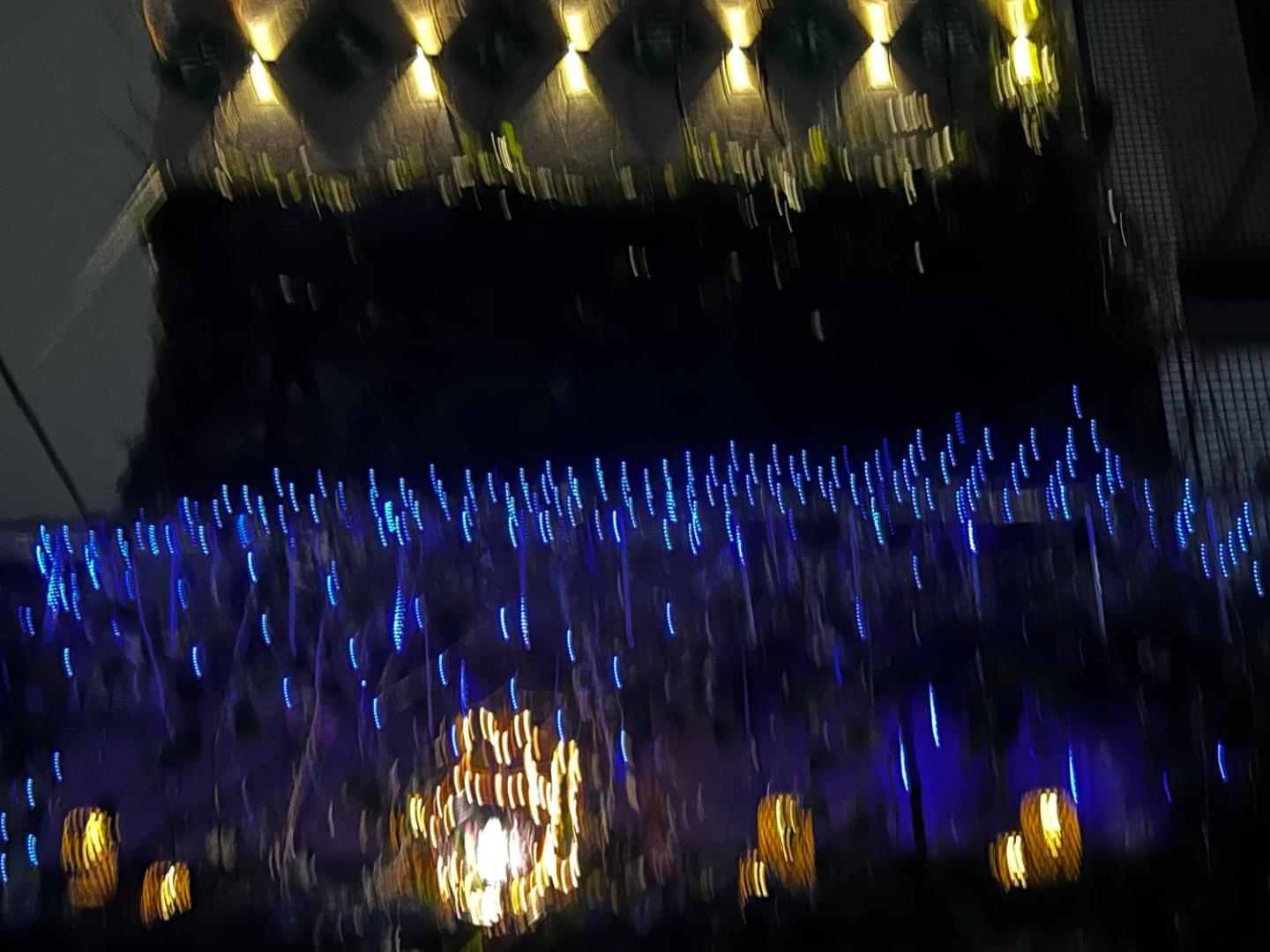 Zdjęcie 10: 東京吉久花園旅舘