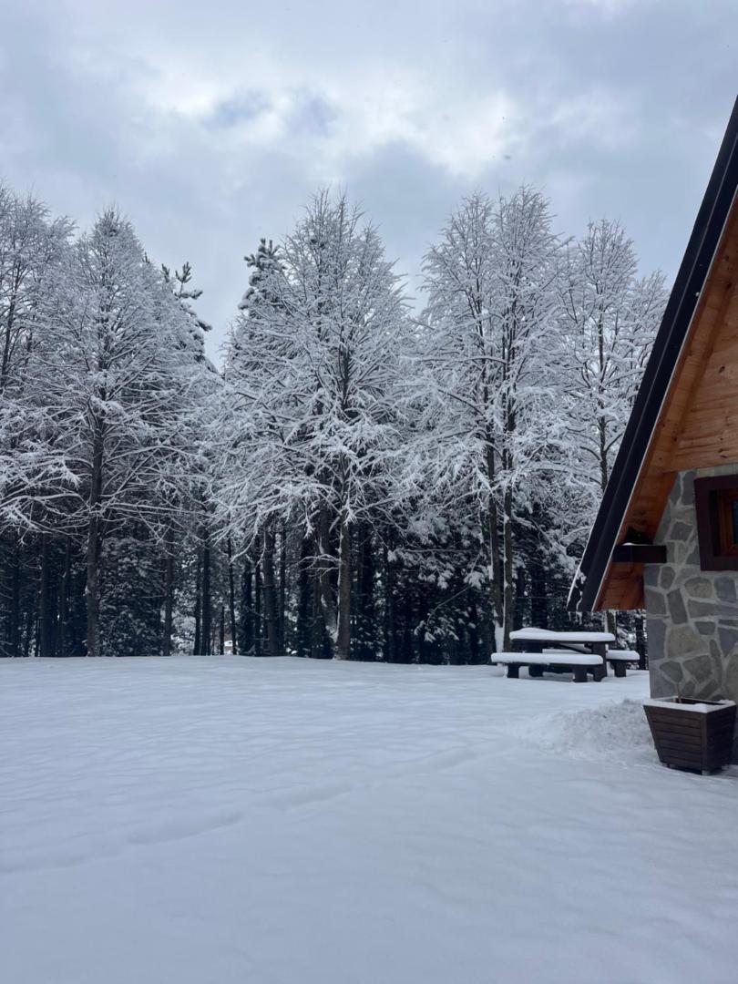 Foto 2: Mala Vila Sofija