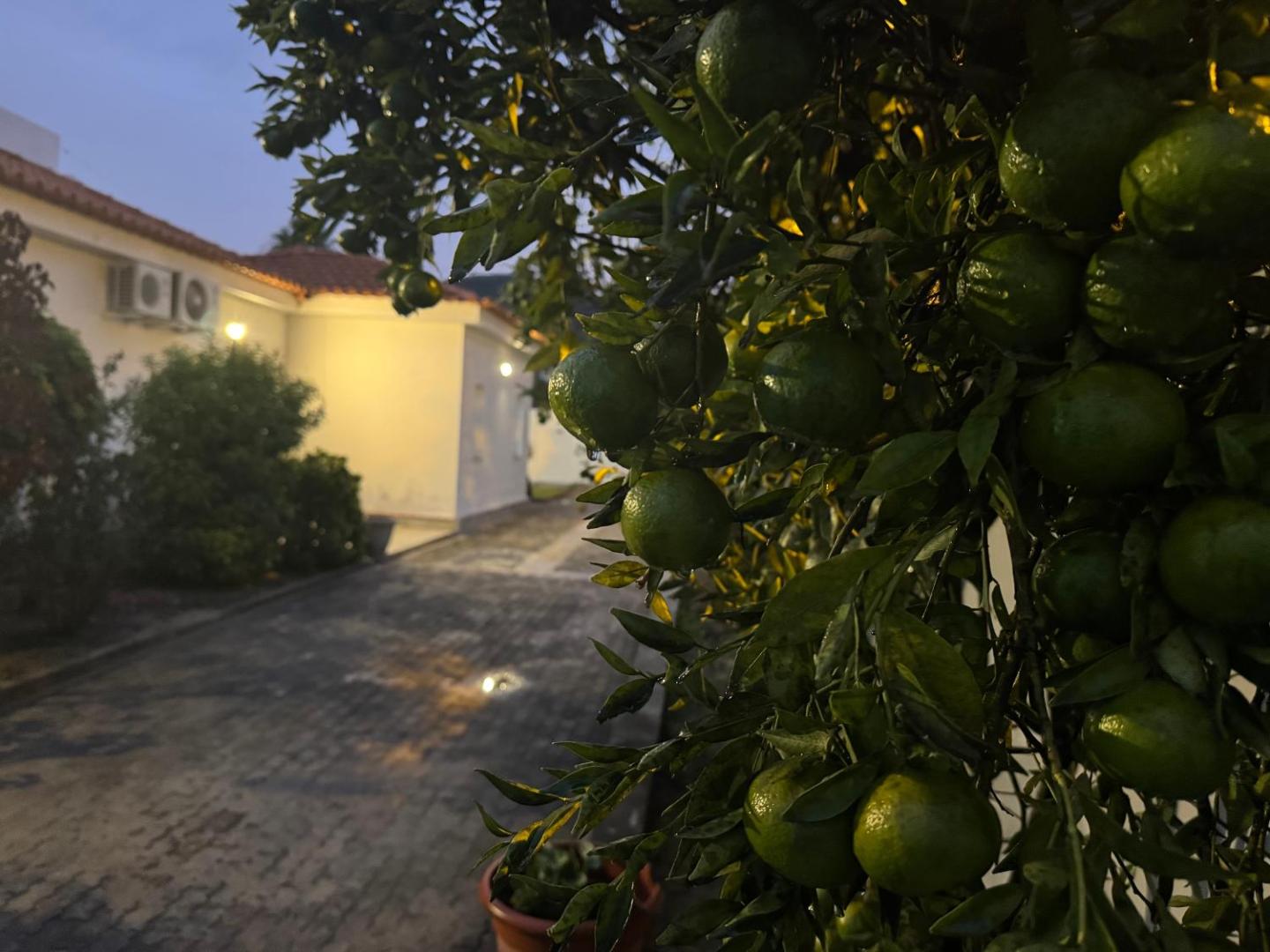 Casa da Lua, com espaço gourmet no Lubango, Huila的照片9
