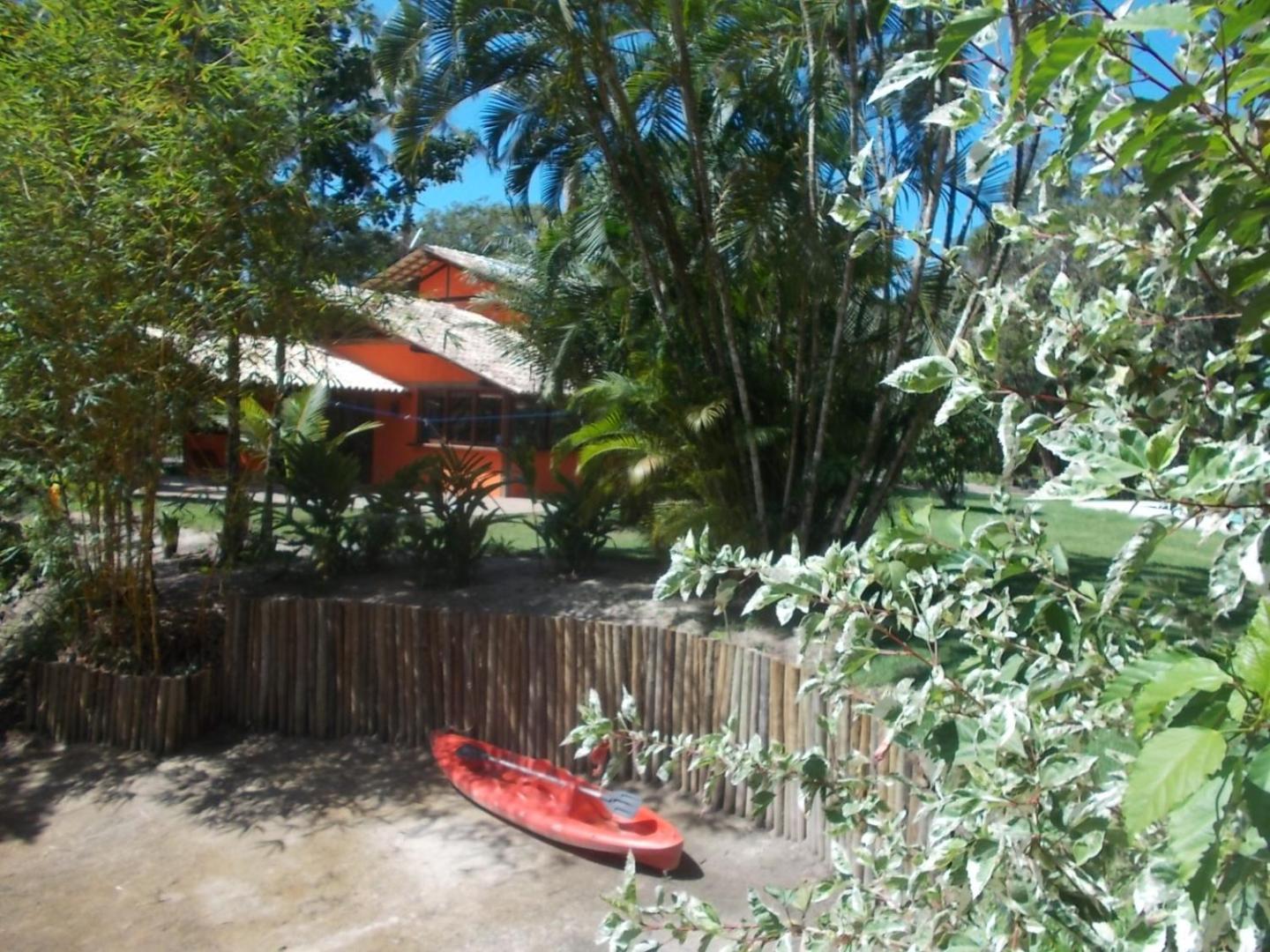 Foto 9: Onça 1024