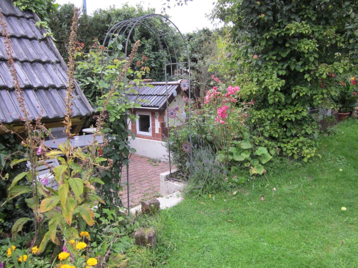 Foto 10: Eifelvulkan