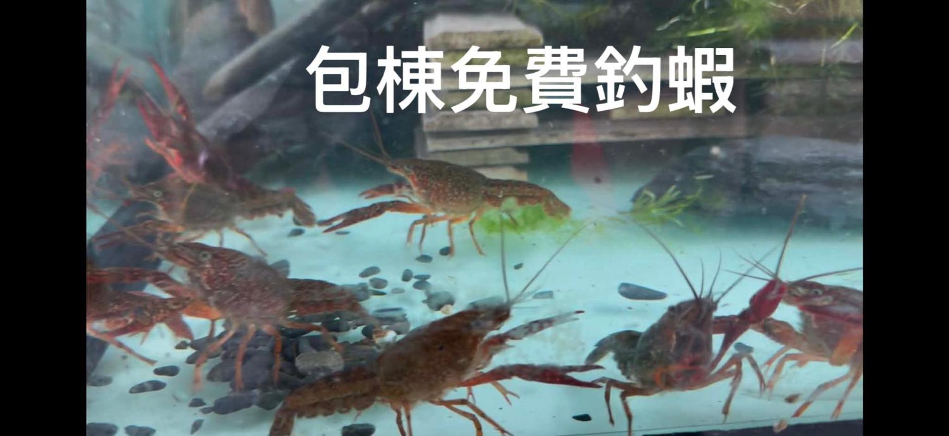 騎馬三星二館的照片10