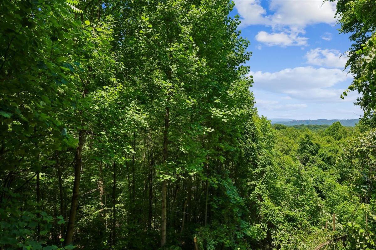 Billede 3: Sequoyah by Venture Smoky Mountains