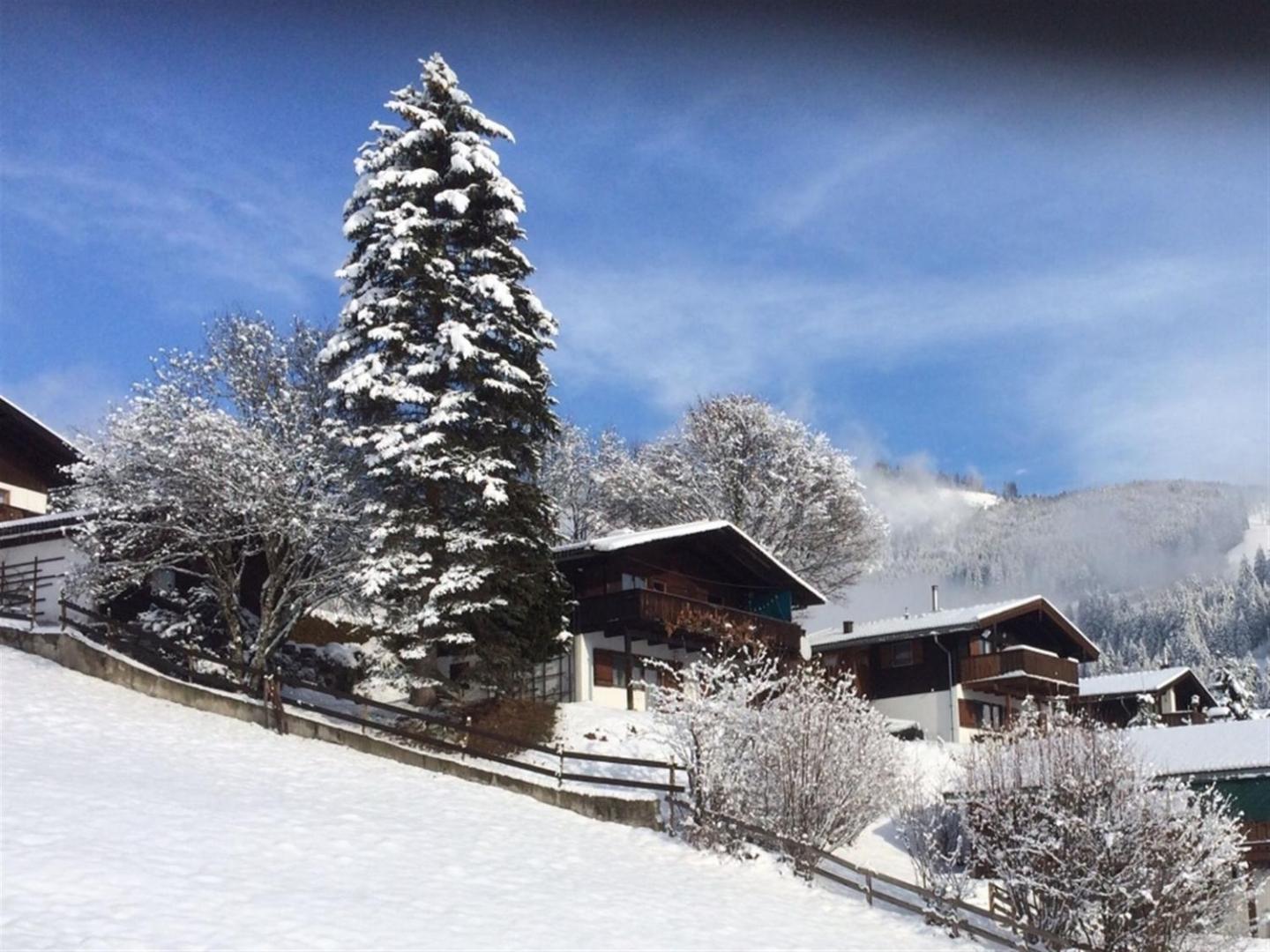 Foto 2: Chalet in Niedernsill near Zell am See Ski Area