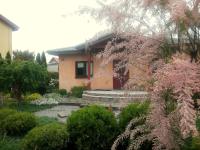 Dom noclegowy ORIENT - B&B