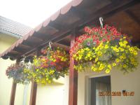 Casa Judith - B&B