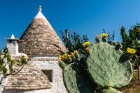 Trullo - Su 2 Livelli