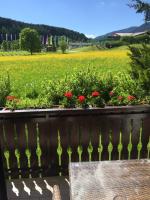 Apartment Ani - B&B Ramsau am Dachstein