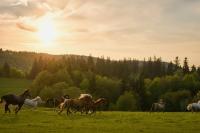 Rancho Panderoza - B&B Duszniki-Zdrój