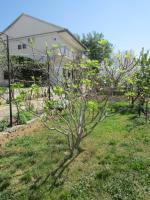 Apartments Jasen - B&B Maslenica