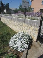 Apartments Jasen - B&B Maslenica